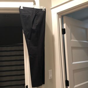 Express columnist dress pant